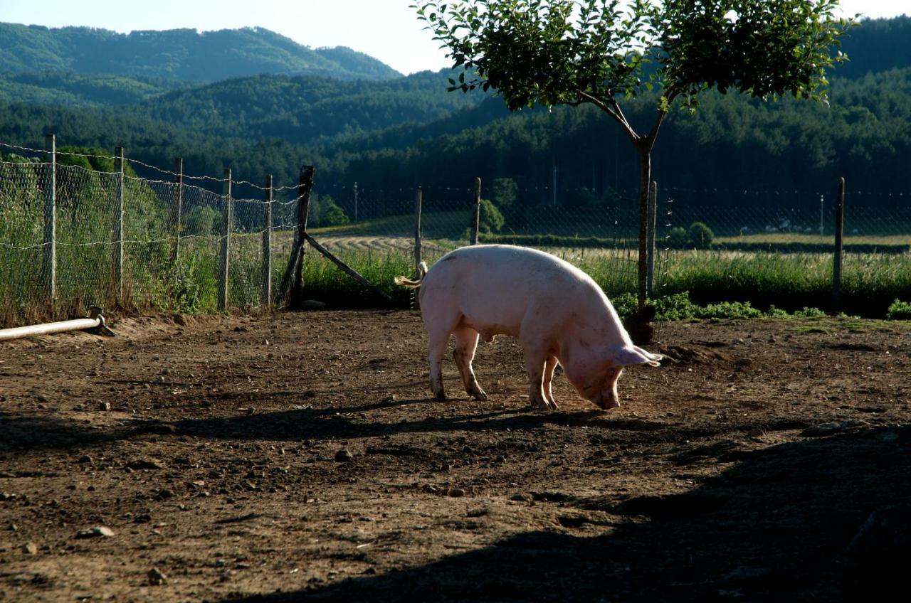 Agriturismo Fiorella Camigliatello Silano Buitenkant foto
