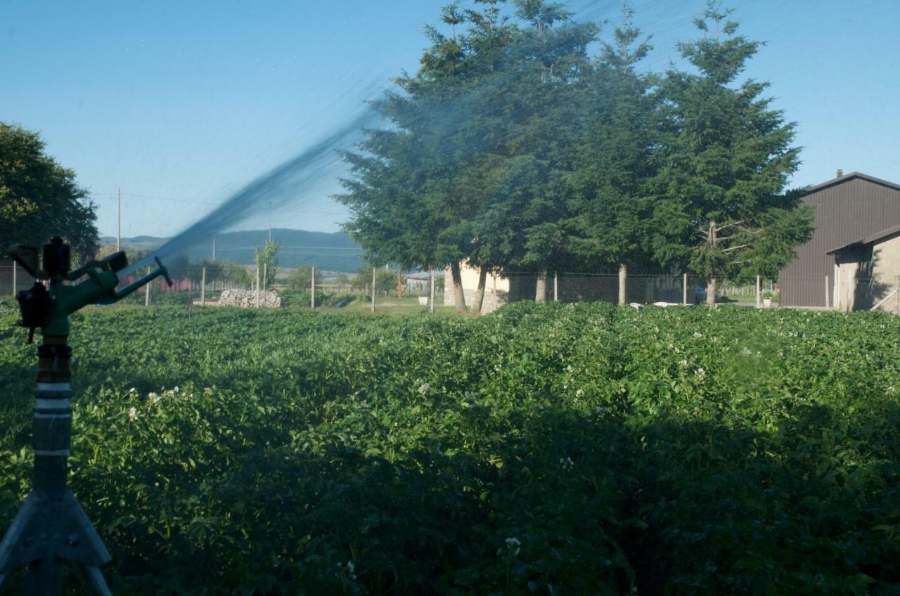 Agriturismo Fiorella Villa Camigliatello Silano Buitenkant foto