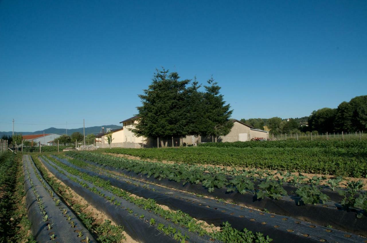 Agriturismo Fiorella Villa Camigliatello Silano Buitenkant foto