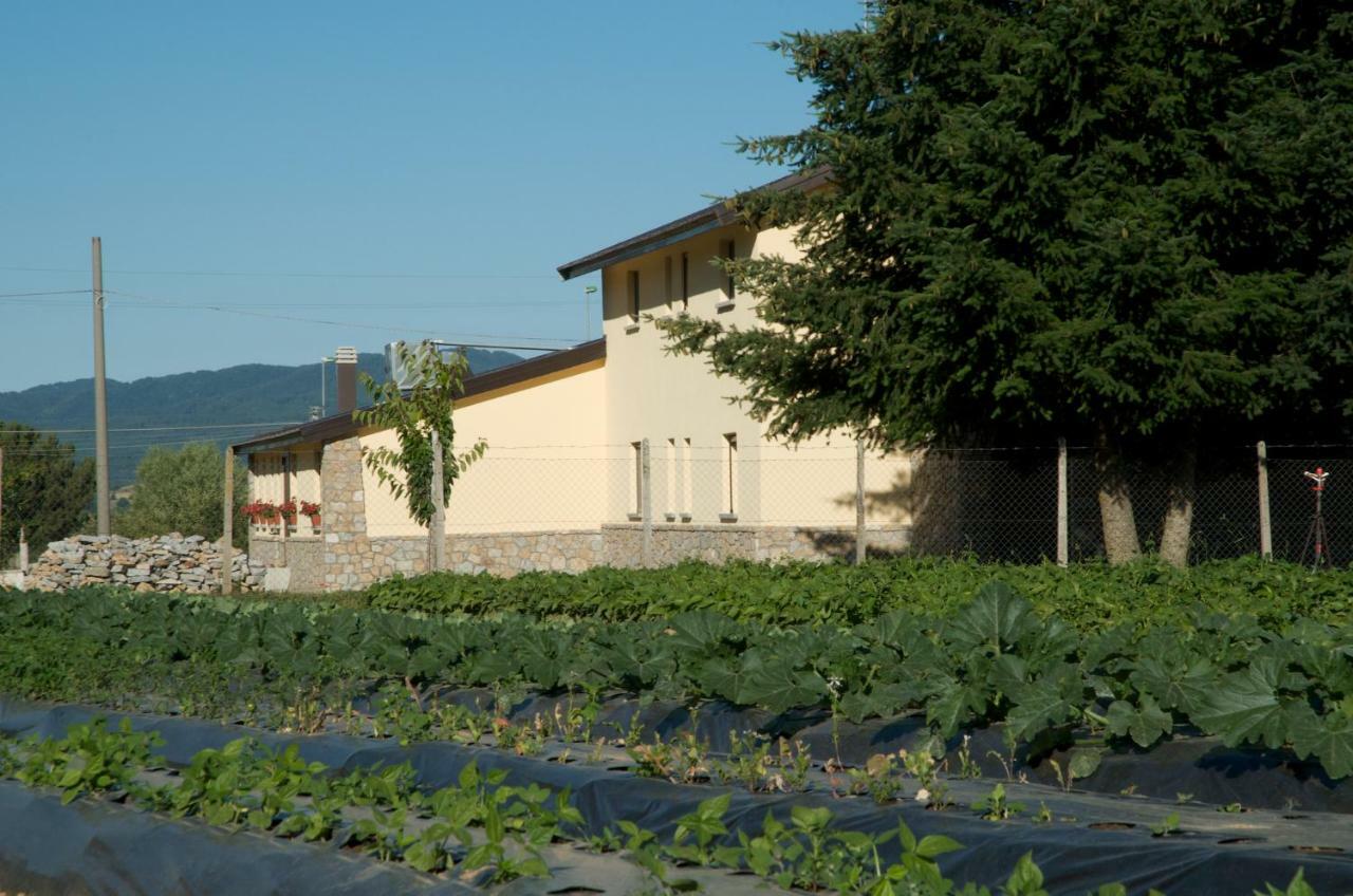 Agriturismo Fiorella Camigliatello Silano Buitenkant foto