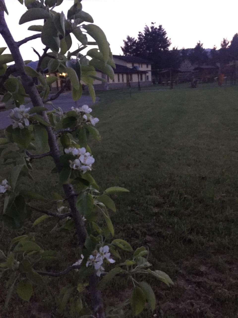 Agriturismo Fiorella Camigliatello Silano Buitenkant foto