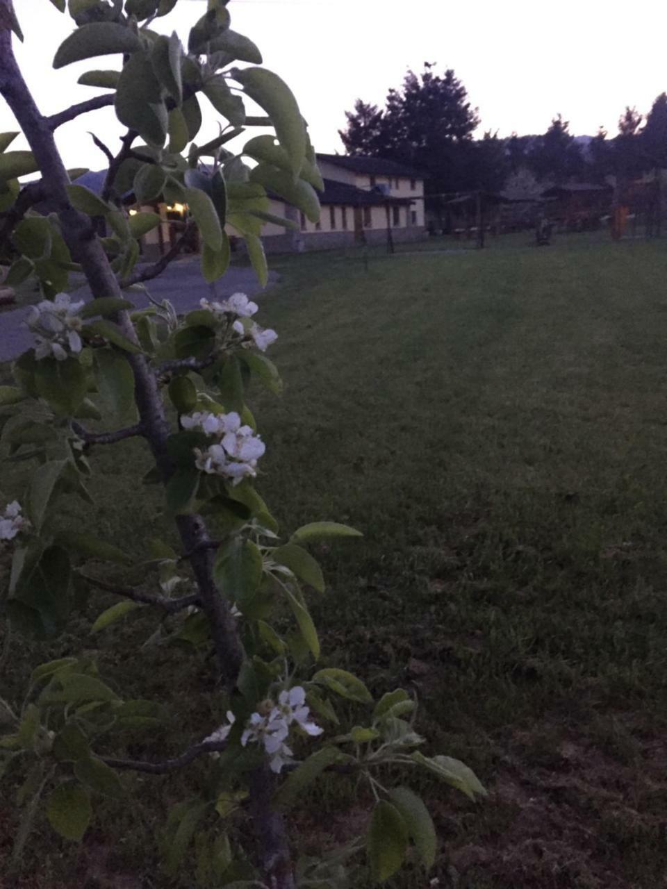 Agriturismo Fiorella Villa Camigliatello Silano Buitenkant foto