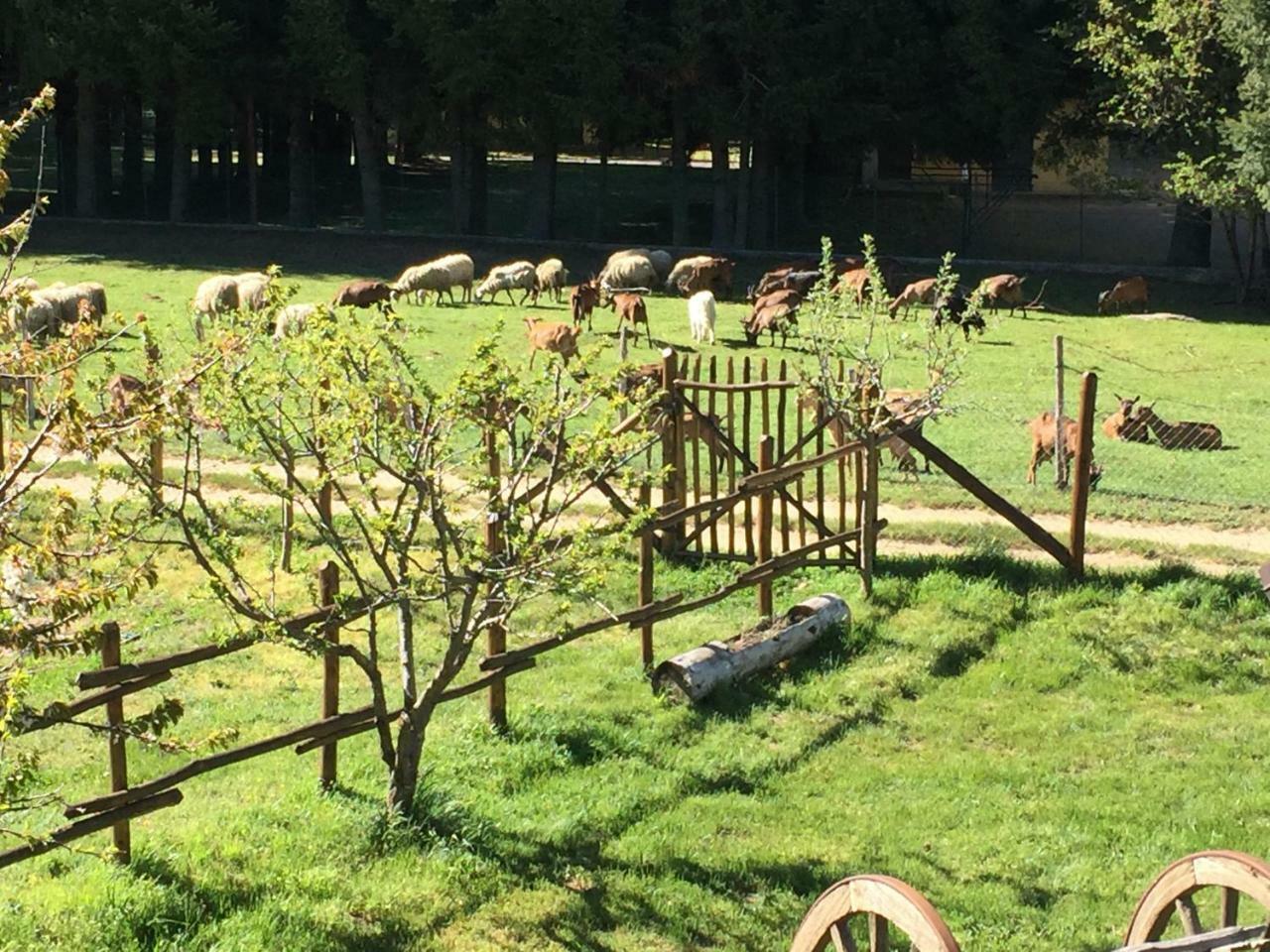 Agriturismo Fiorella Villa Camigliatello Silano Buitenkant foto