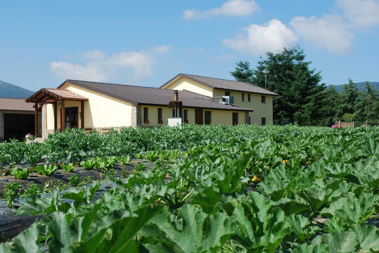 Agriturismo Fiorella Villa Camigliatello Silano Buitenkant foto